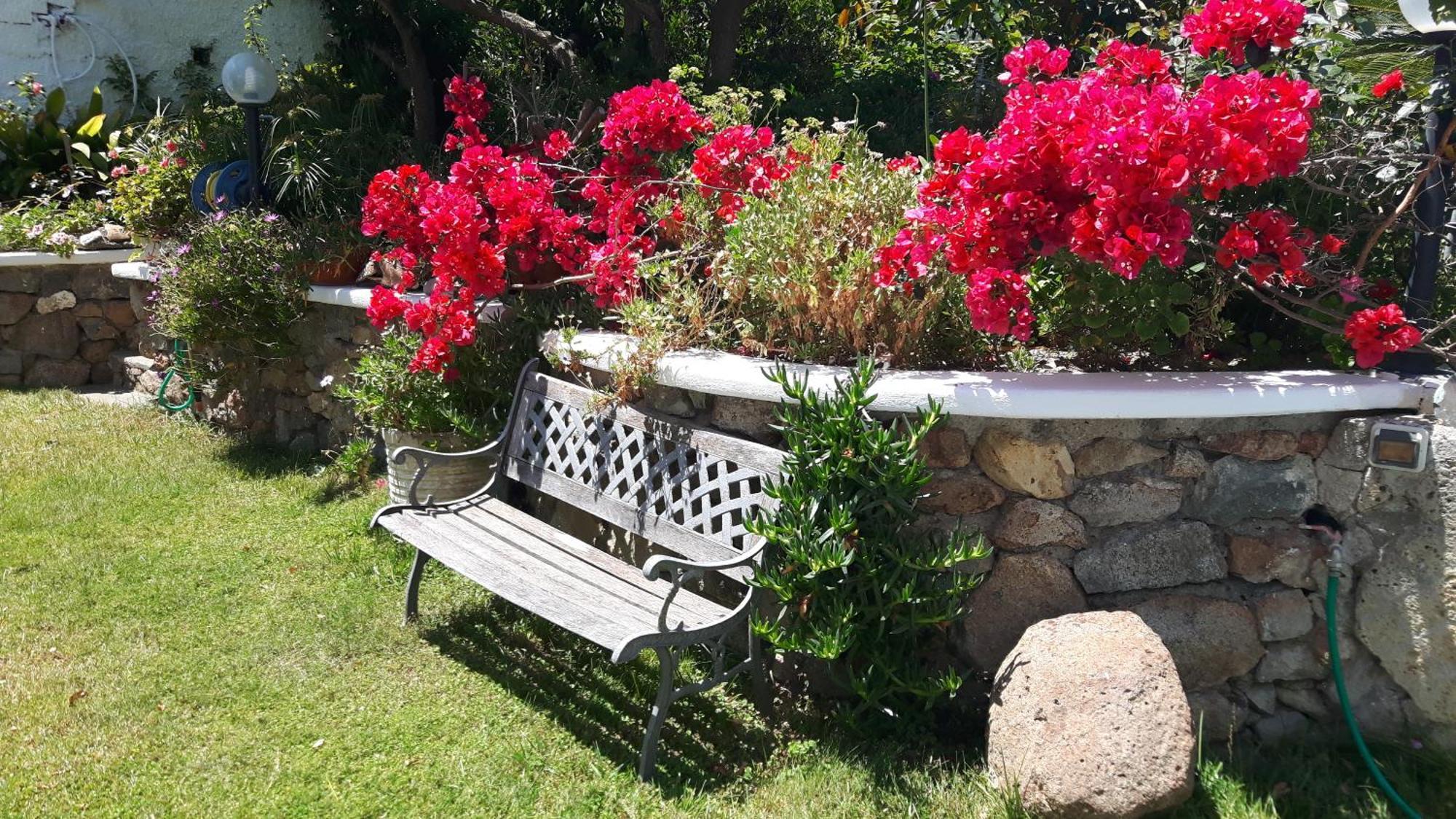 Casa Acqua Marina Ponza 아파트 외부 사진